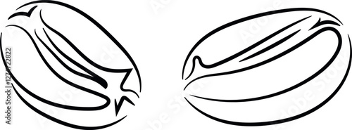 Coffee beans roasted. Vector clipart, illustration with isolated background.