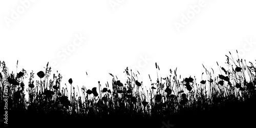 Fotografie Grass silhouette png border, black botanical graphic, transparent background
