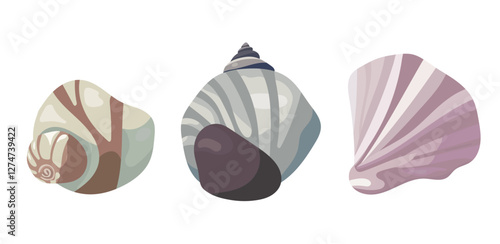 Seashell. Vector clipart illustration on isolated background.