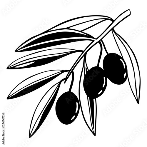 olive branch with olives