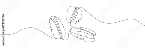 A simple continuous one-line digital drawing of pecans, featuring a minimalist and modern art style with clean black outlines on a transparent background. Vector illustration