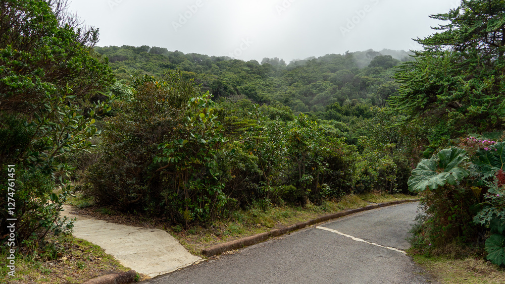 Panoramic view of Poas volcano of Costa Rica in Central America Panoramic view of Poas volcano of Costa Rica in Central America