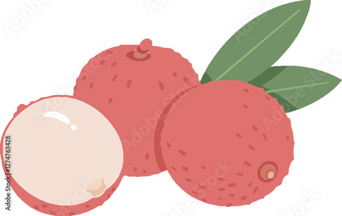 Lychee Fruit with Leaves – Exotic Tropical Superfood, Juicy Sweet White Flesh, Fresh Organic Produce, Healthy Nutrition and Asian Cuisine Ingredient Illustration