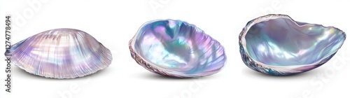 *Mother-of-pearl: lustrous nautilus pompilius, bright abalone, and oyster shells isolated on a clear background, suitable for ocean, summer, beach, vacation, scuba diving, or lifestyle design photo