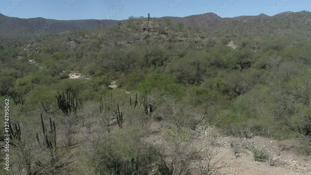 The Old Mine of El Rosario, Baja California Sur: Echoes of a Bygone Era The Old Mine of El Rosario, Baja California Sur: Echoes of a Bygone Era
