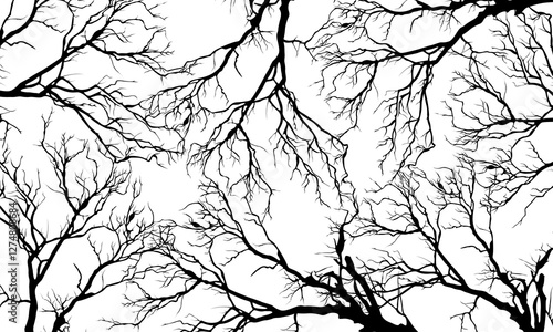 Abstract black roots pattern decorative white background. Vintage nature background.