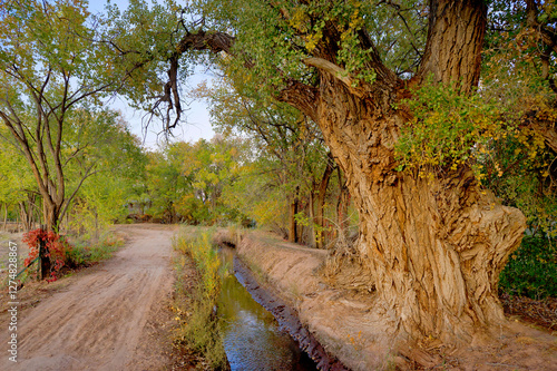 Acequia