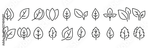 Minimalist Leaf Line Icons Set