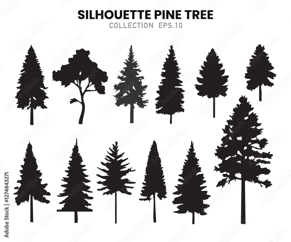 Fototapeta premium Pine Forest Silhouette Set.Vector illustration.
