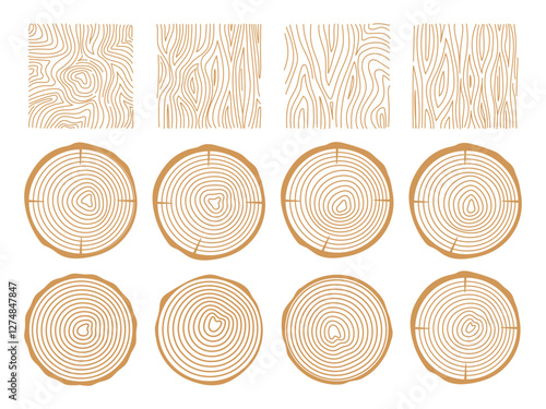 Tree rings. Wood texture . Abstract circle tree background.