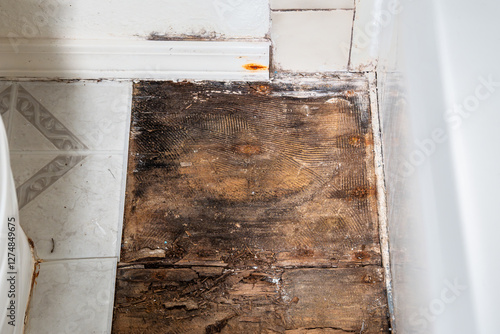 Bild auf Leinwand Bathroom interior, toilet, tub, and water damaged subfloor under linoleum tile,
