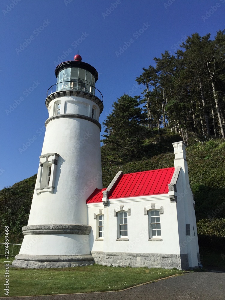 lighthouse on the coast in the pacific northwest lighthouse on the coast in the pacific northwest