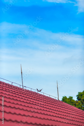solar panels on the roof