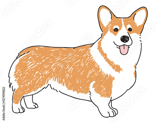 コーギーの手書きイラスト
