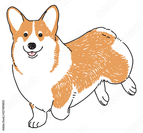 コーギーの手書きイラスト