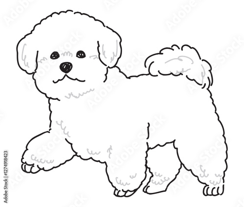 ビションフリーゼの手書きイラスト