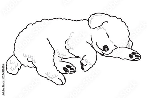 ビションフリーゼの手書きイラスト