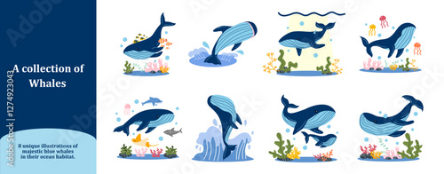 Whales under the sea set: A stunning collection of eight blue whale illustrations, such as swimming, breaching, interacting with baby whales, coral reefs, and marine life.