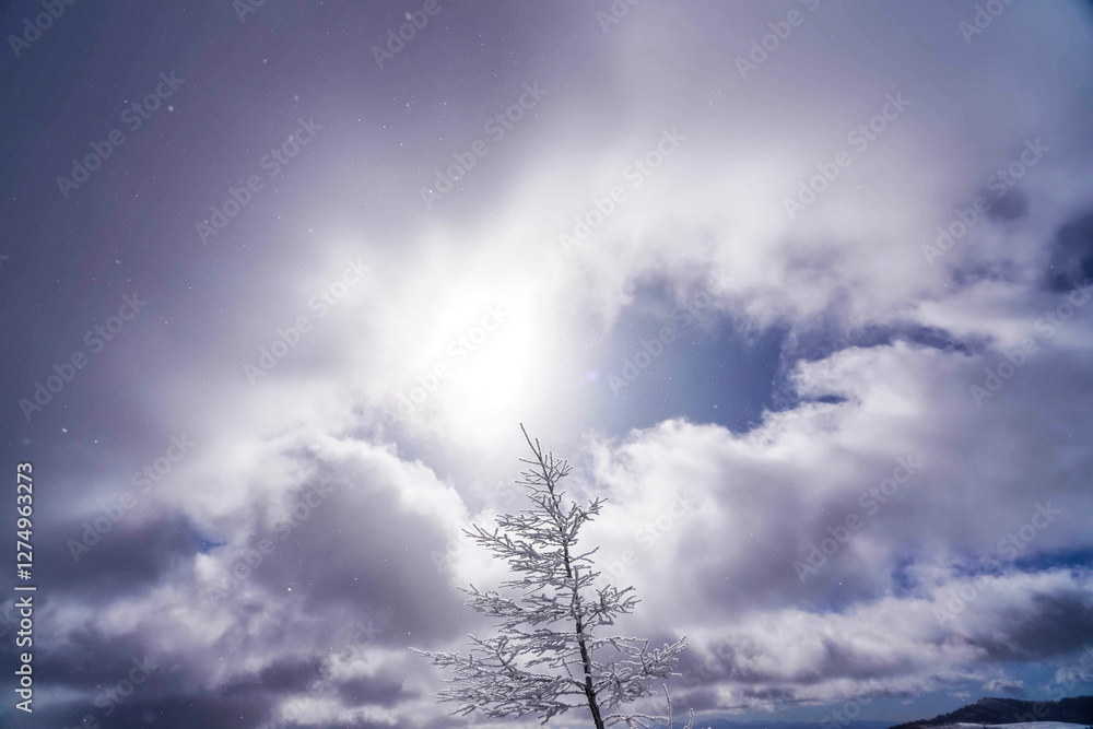 樹氷と冬の空が織りなす幻想的な風景