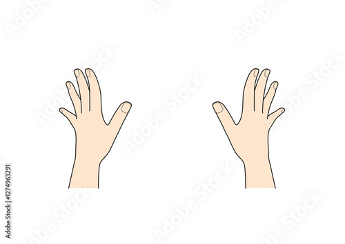 hand_149_colour