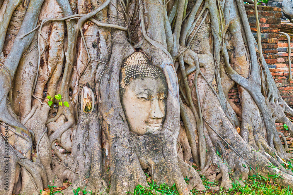 The Buddha head in the roots of Wat Mahathat complex, Ayutthaya, Thailand