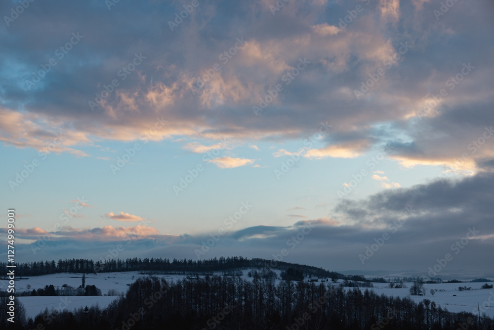 Fototapeta premium 北海道美瑛-冬の朝の風景-11