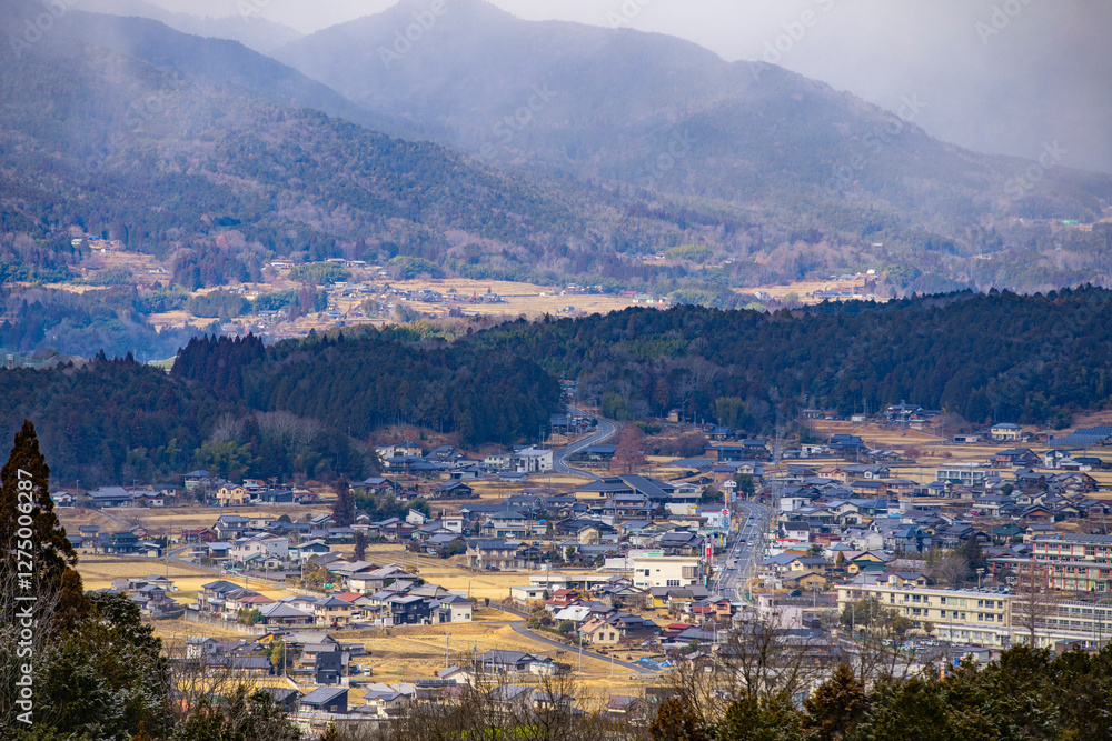 Fototapeta premium 岐阜県中津川市 冬の苗木城