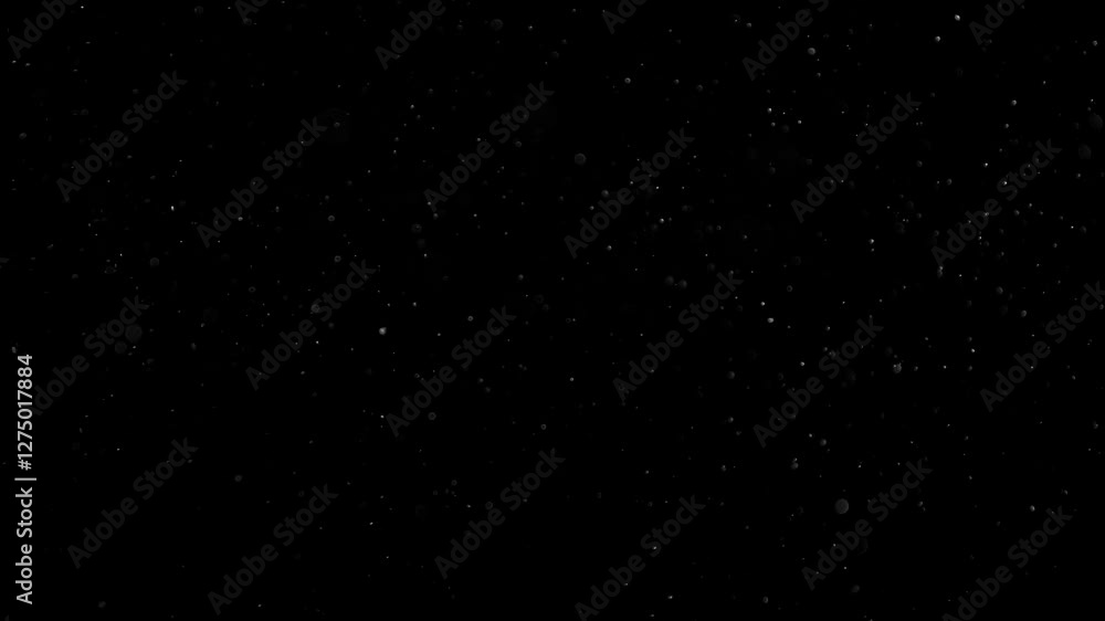 Natural Organic Dust Particles Floating On Black Background. Glittering Sparkling Particles Randomly Spin In The Air With Bokeh. Dynamic Particles With Fast And Slow Motion. Shimmering Dust In Space.	