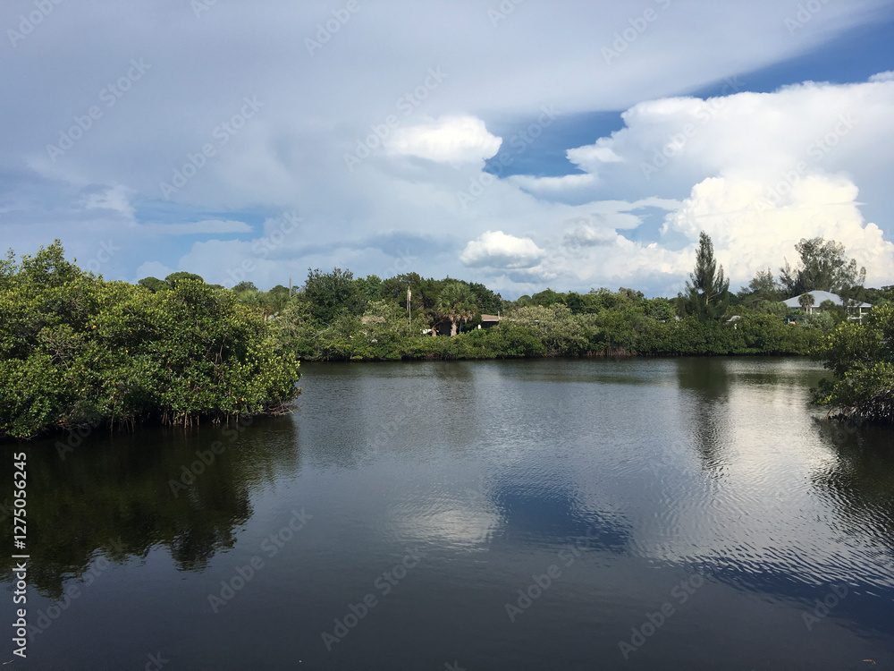 Obraz premium Scenic view of Sarasota, Florida