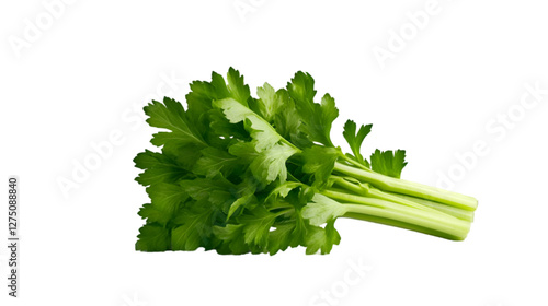 Fresh celery stalks with vibrant green leaves ready for healthy meal preparation.