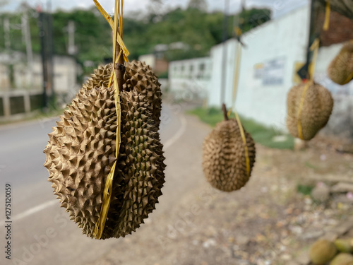 Indonesian durian fruit for sale in traditional market photo