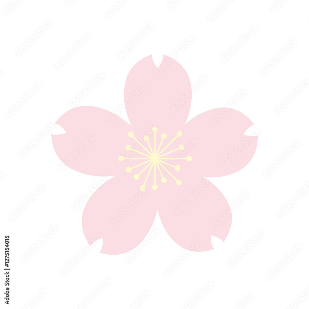 Fototapeta premium かわいい桜の花のイラスト