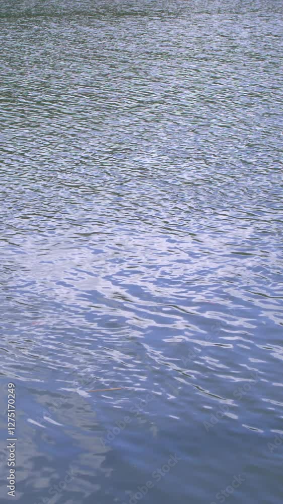 Rippling water