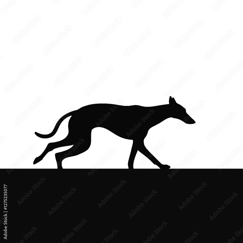 Fototapeta premium Dynamic greyhound sprinting on track, animal movement concept