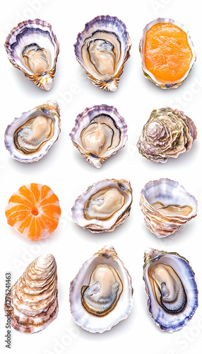 Wallpaper Mural Fresh Oysters and Citrus Slices on White. Food Photography Torontodigital.ca