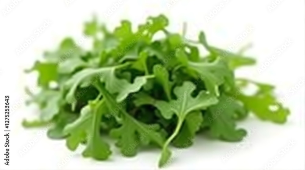 fresh salad leaves isolated on white background fresh salad leaves isolated on white background