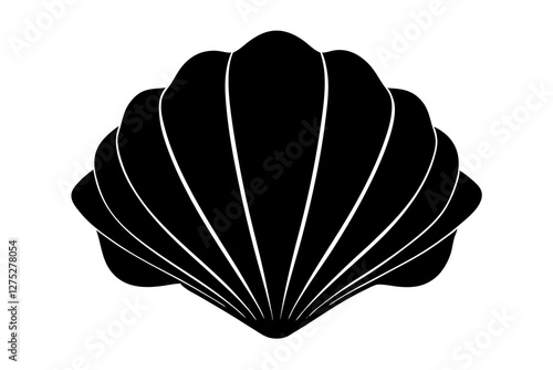 vector illustration of a seashell