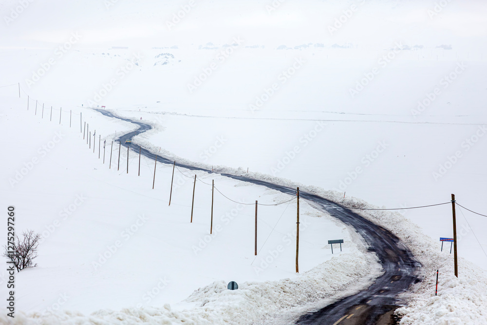 A road and electrical wires covered in snow