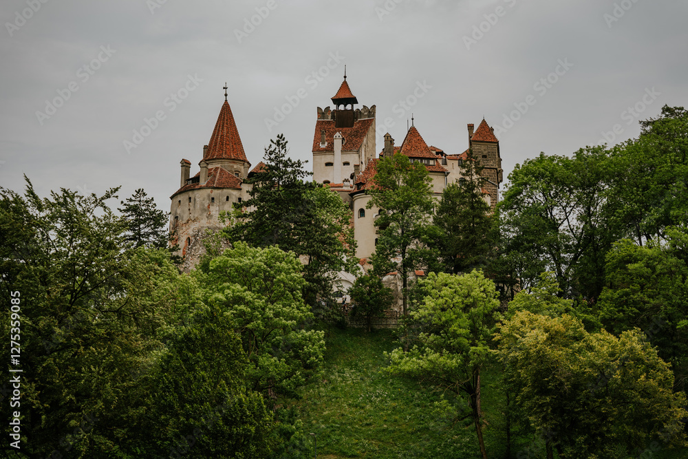 Zamek Zamek