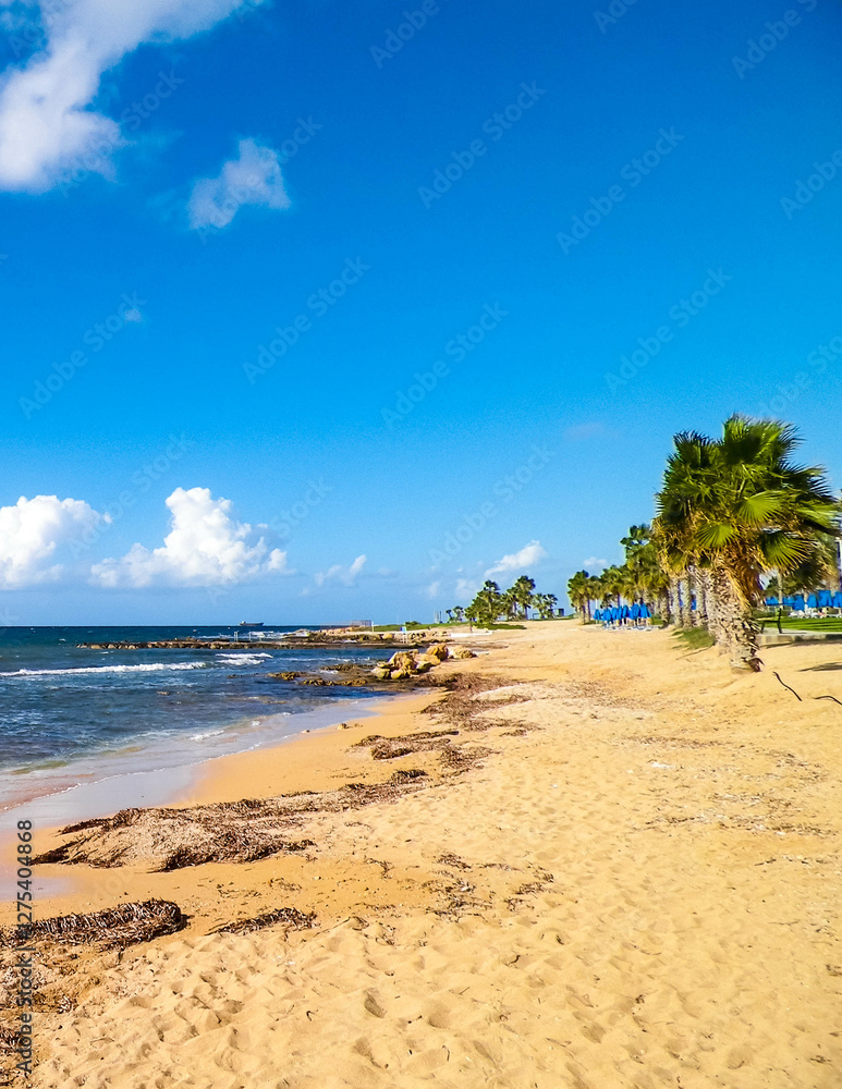 Tropical view of palms, beach and Mediterranean sea near Paphos City, Cyprus island. Tropical view of palms, beach and Mediterranean sea near Paphos City, Cyprus island.