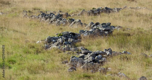 mid shot looking over the Blaenrhondda hut circle settlement at Hendre'r Mynydd, photo