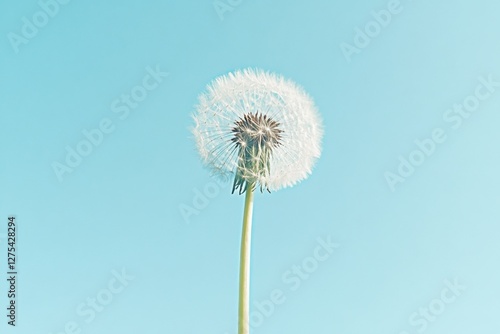 Wallpaper Mural Serene minimalistic dandelion against clear blue sky for nature design Torontodigital.ca