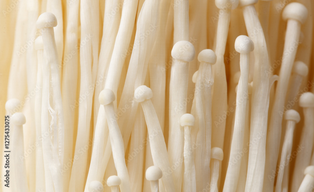 A close up of a bunch of white mushrooms A close up of a bunch of white mushrooms