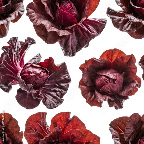 Radicchio Seamless Pattern photo