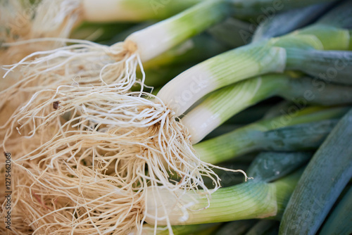 Fototapet Close-up view of  fresh Japanese Scallion or Negi