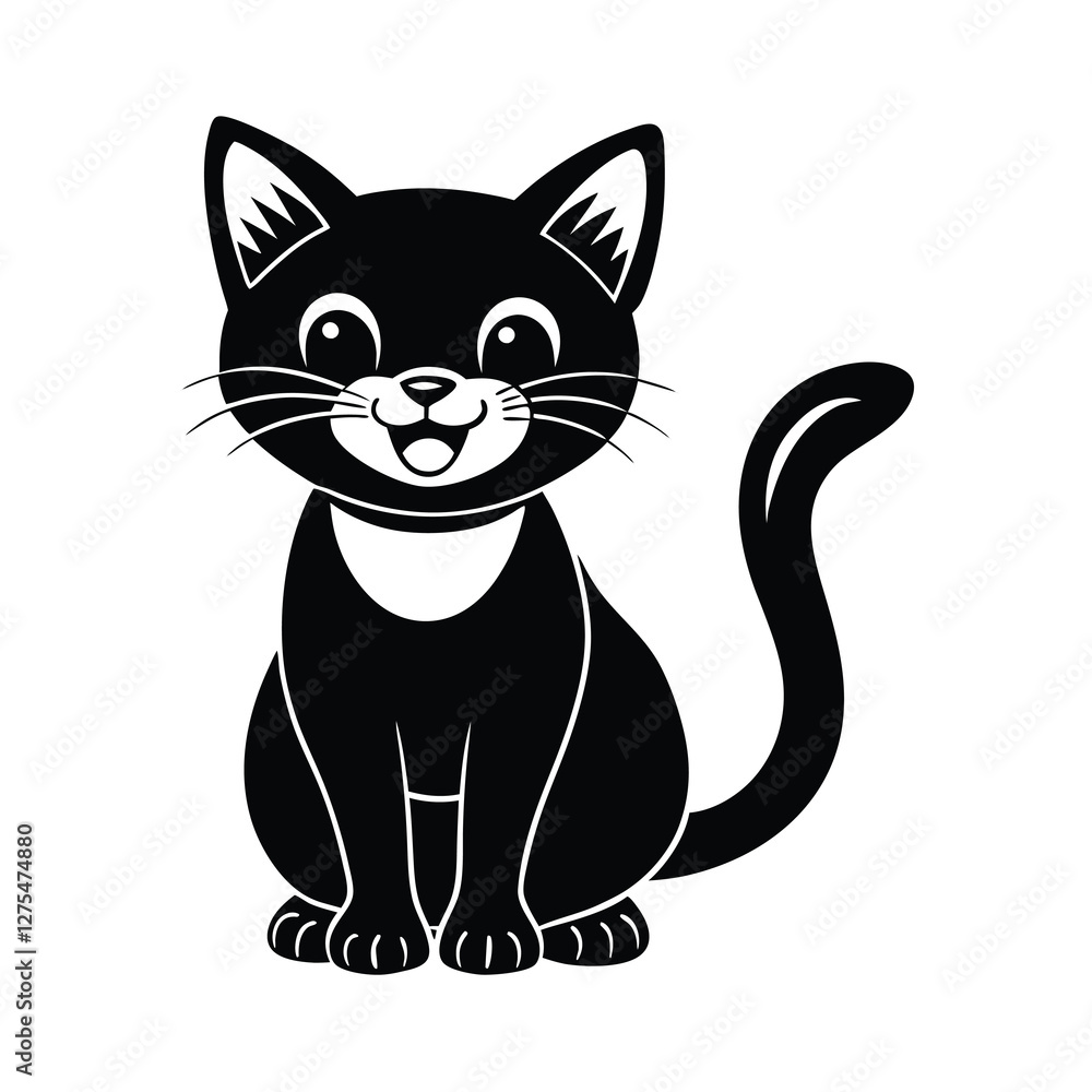 black and white cat black and white cat