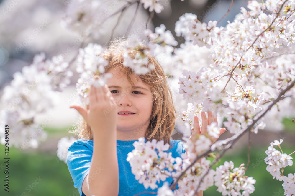 The spring. Child in spring garden. Kid under a blossom flowering tree. Kid in blossom park. Child play in Spring garden. Kids face near Blooming cherry tree. Happy child during spring blossom. The spring. Child in spring garden. Kid under a blossom flowering tree. Kid in blossom park. Child play in Spring garden. Kids face near Blooming cherry tree. Happy child during spring blossom.