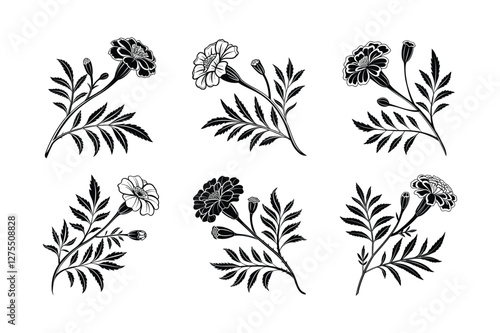 Marigold (Tagetes spp.) silhouette vector illustration