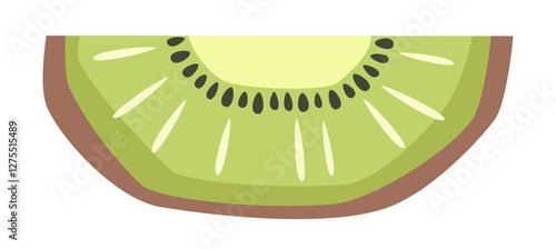 Vector isolated kiwi slice illustration