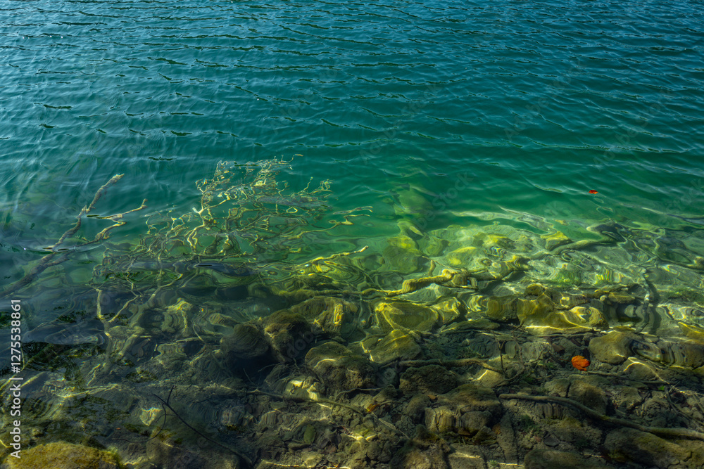 Fototapeta premium Calm water lake. The tranquil transparent waters of lake in the background. Beautiful nature lake. Landscape Reflection off of a clear lake water surface on a bright sunny day.